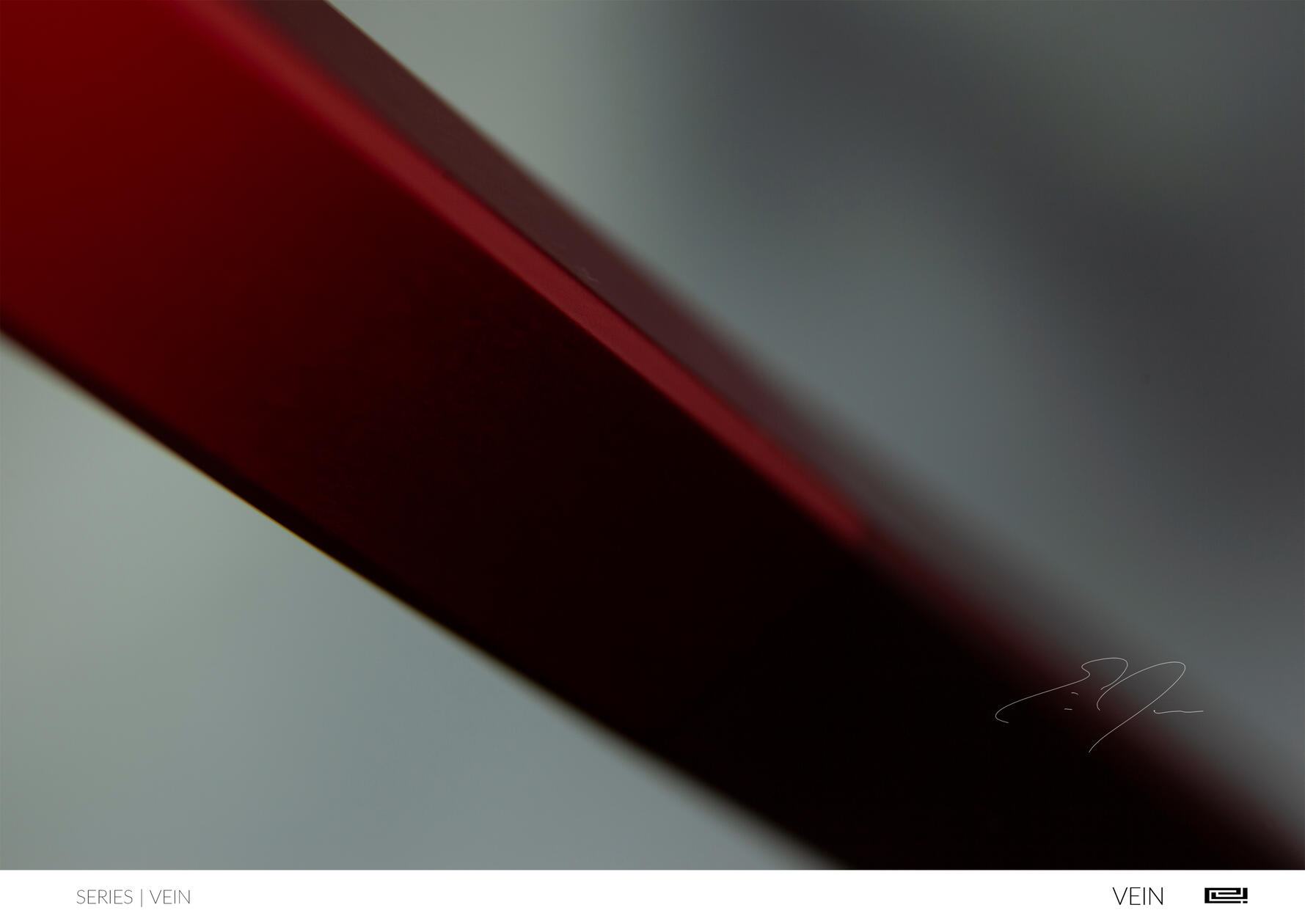VEIN | Limited Edition Print by Eric C. Jackson Studio