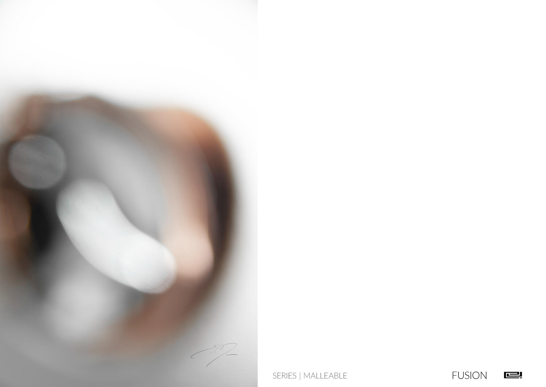 FUSION | Limited Edition Print by Eric C. Jackson Studio