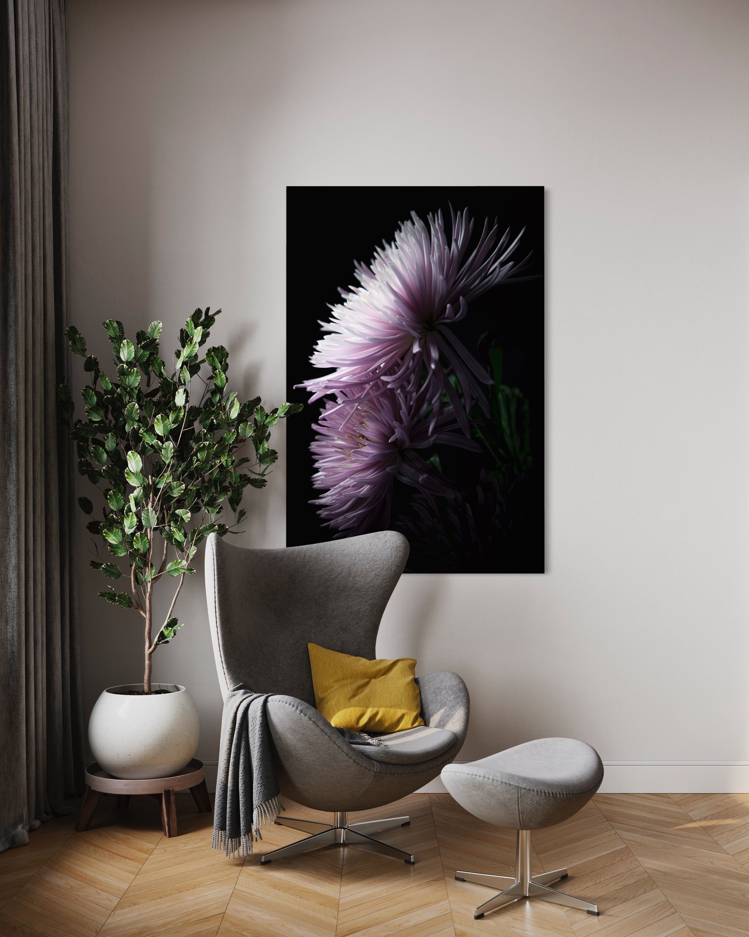 Open Edition | Fine Art Photography