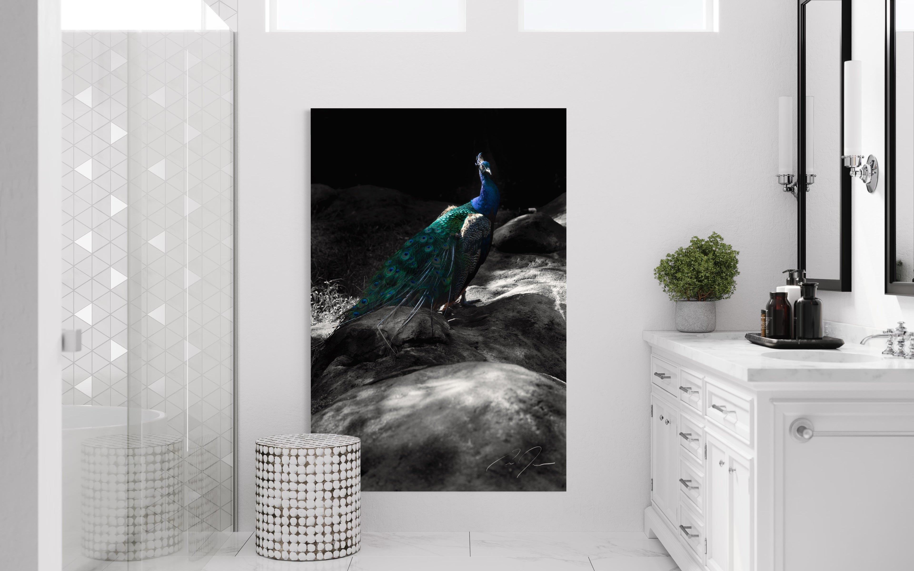 Series | Jacksonville Zoo by Eric C. Jackson Studio