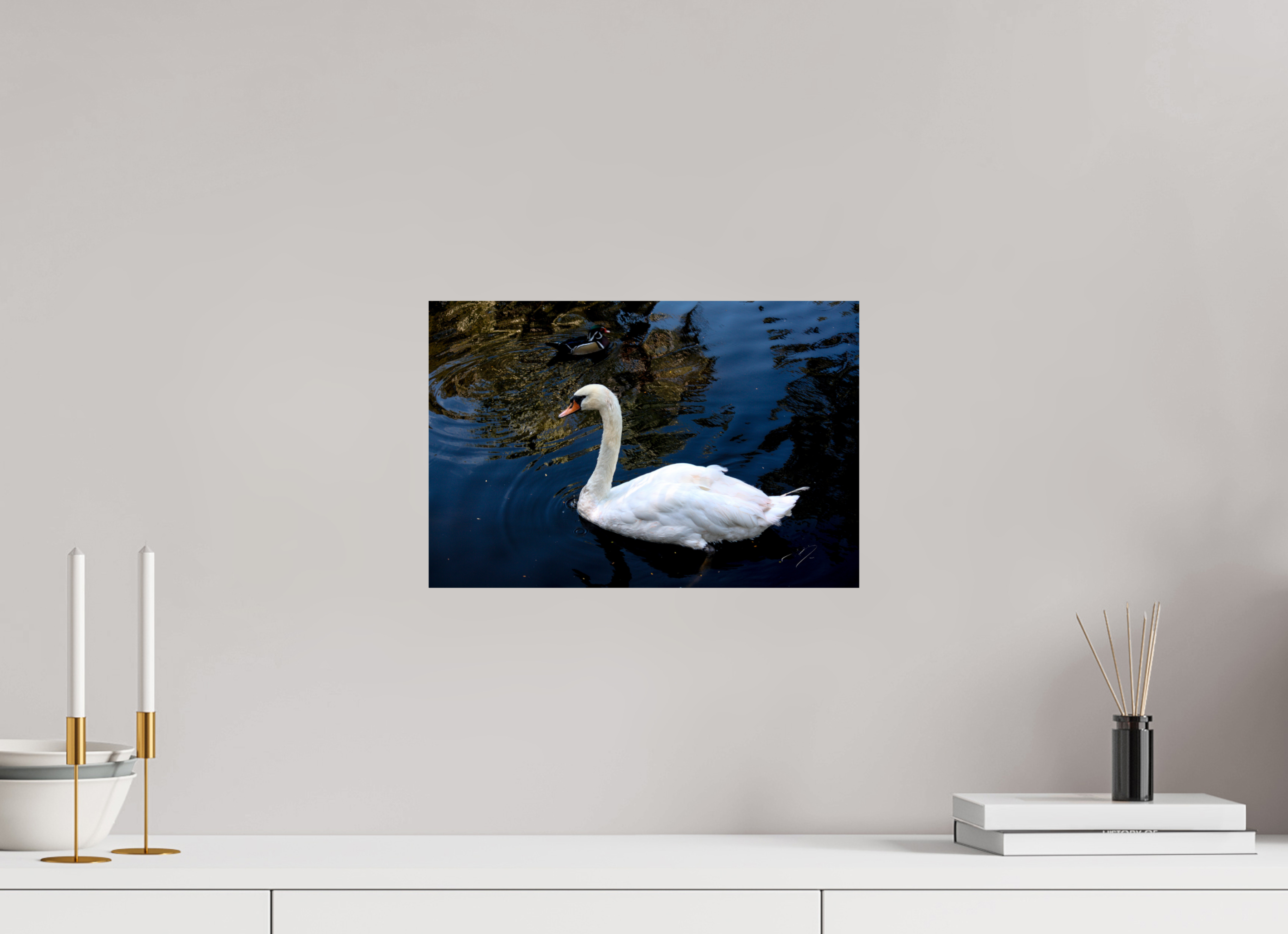 15 x 10″, PHOTO PRINT - FUJIFLEX HIGH GLOSS SWAN