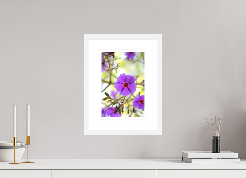 8 x 12″, FRAME - SOLID WOOD [FUJIFLEX] VIOLET PETALS