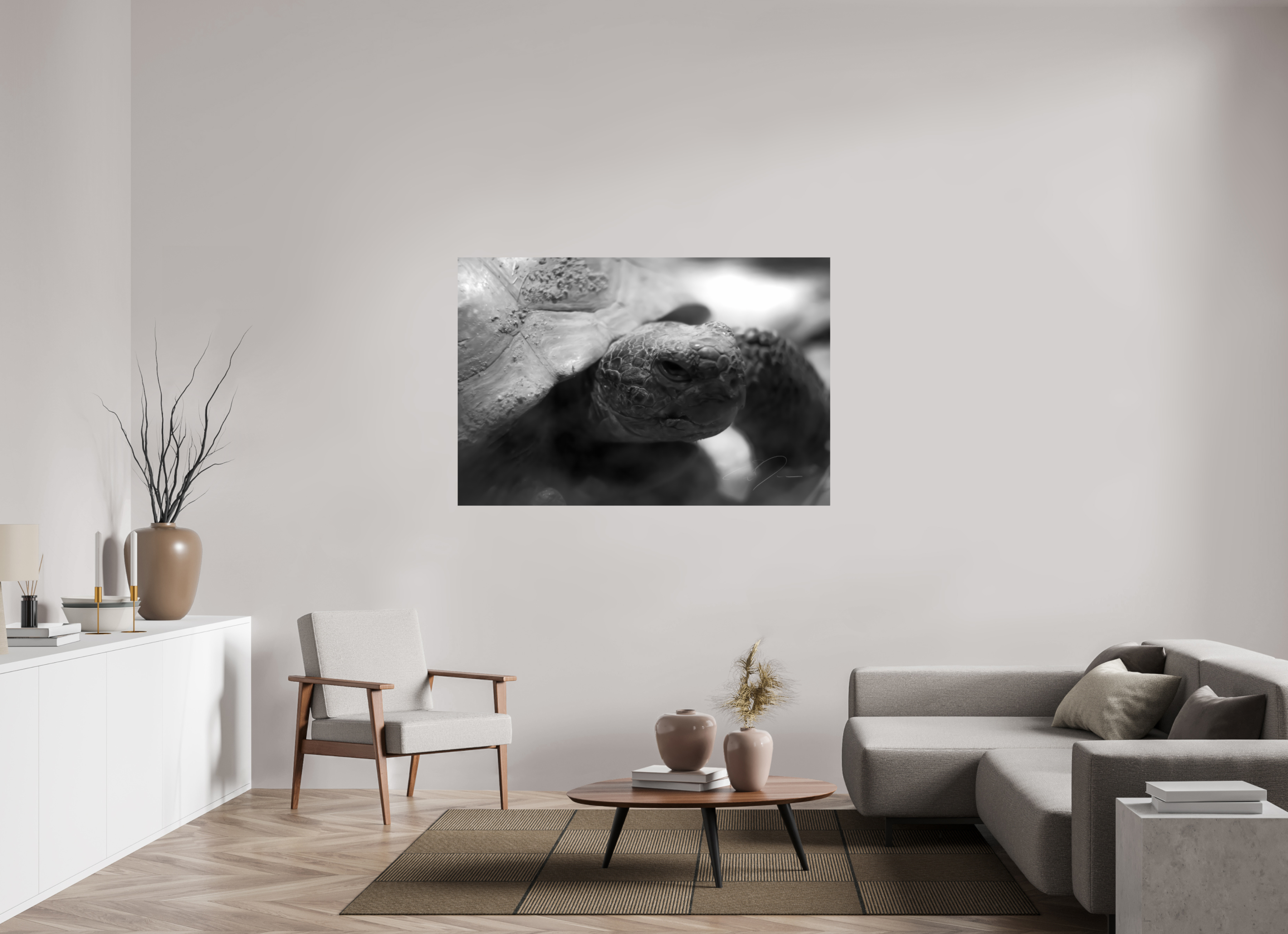 60 x 40″, PRINT ONLY [FUJI CRYSTAL DP II] TORTOISE