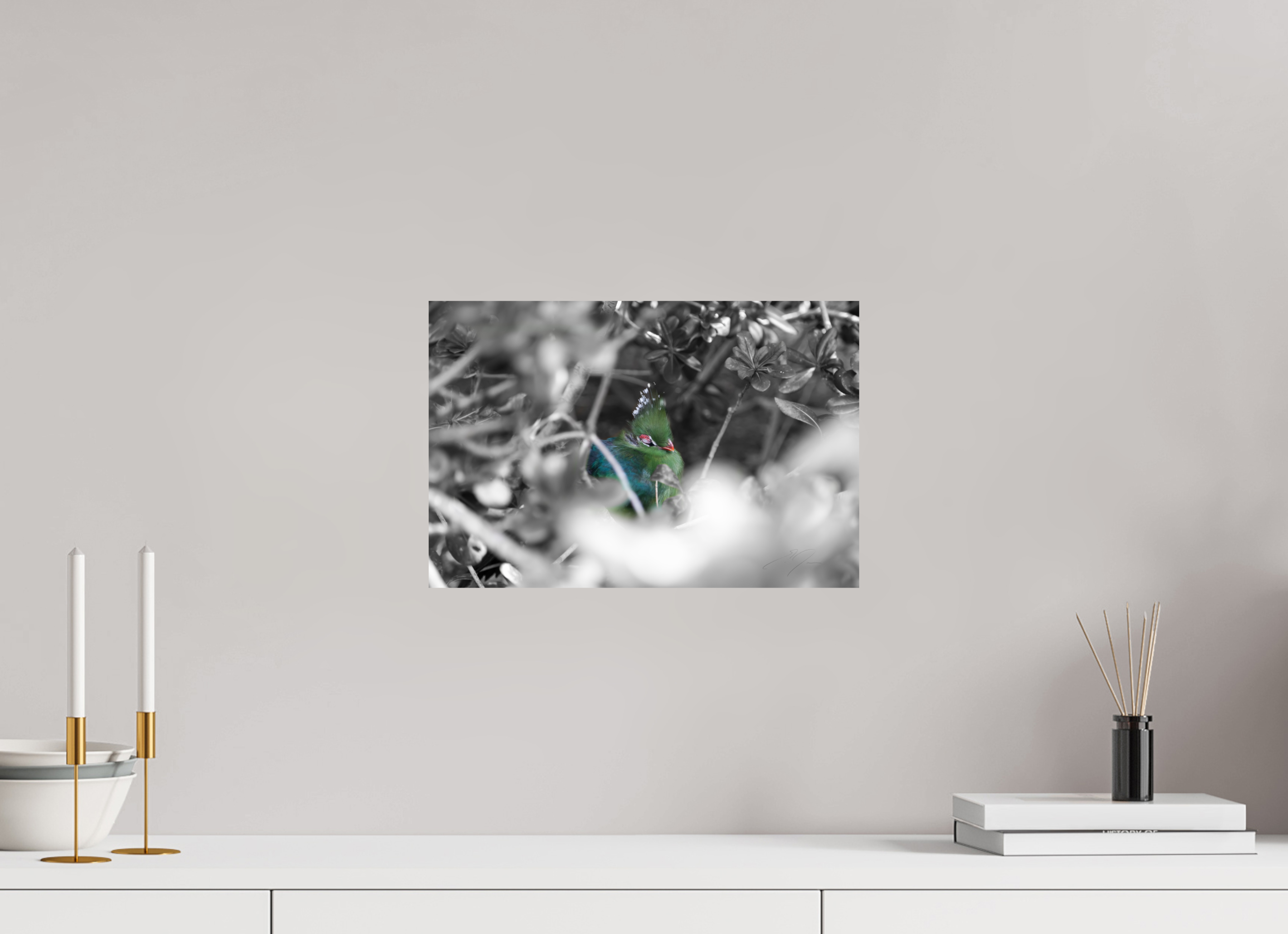 15 x 10″, PRINT ONLY [FUJI CRYSTAL DP II] SLEEPING