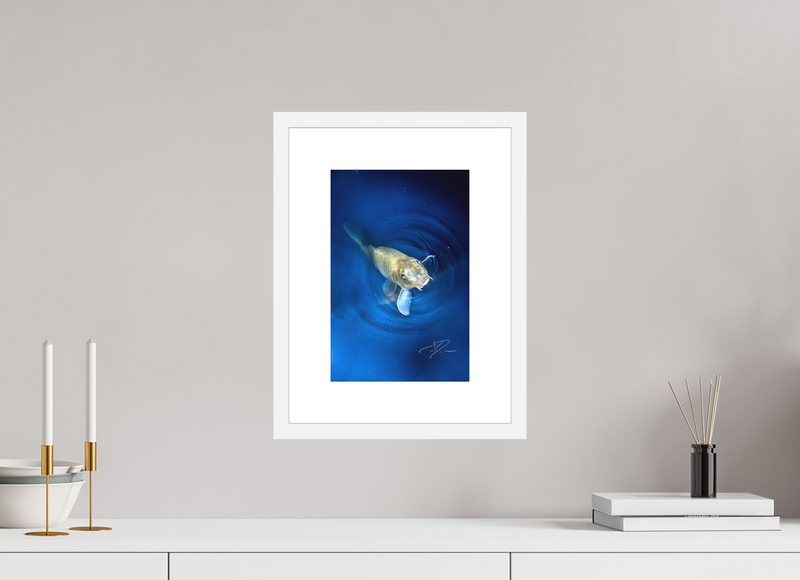 8 x 12″, FRAME - SOLID WOOD [FujiFlex] RISE TO THE TOP