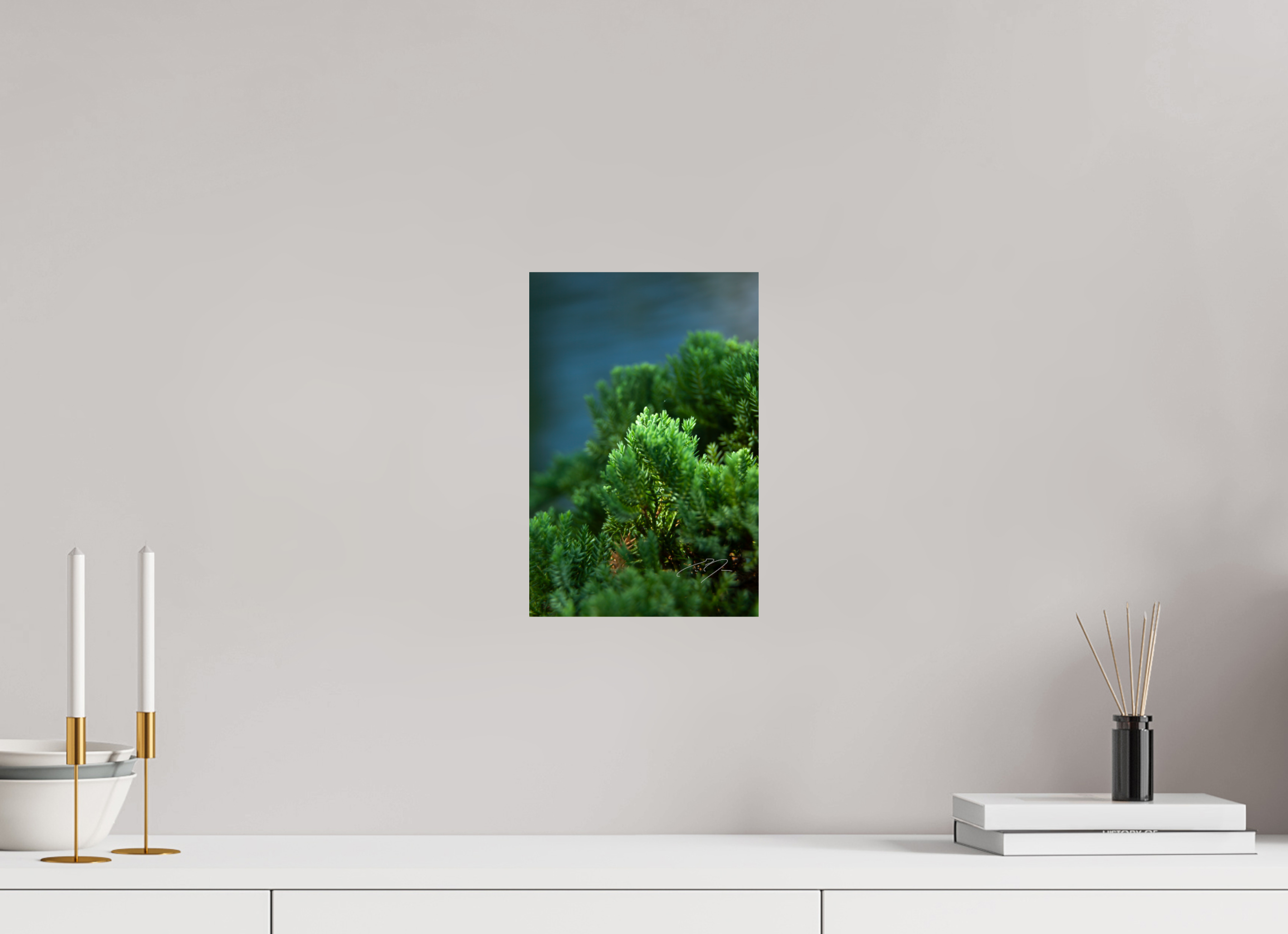 8 x 12″, PHOTO PRINT - FUJIFLEX HIGH GLOSS VERDANT