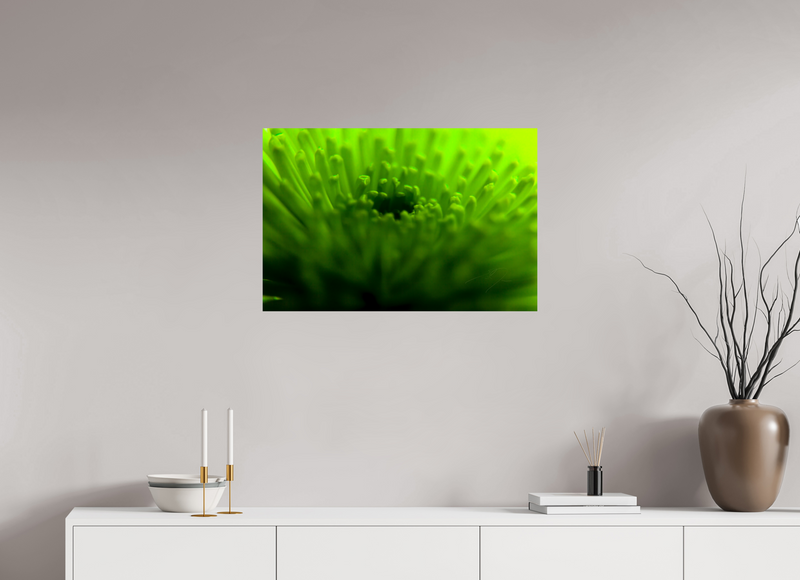 30 x 20″, PHOTO PRINT - FUJIFLEX HIGH GLOSS COME TO LIFE