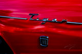 Close-up of a red vehicle with 'Tiger' and 'V8' badges.