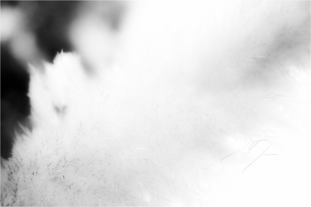 Main image DREAM STATE, No.3