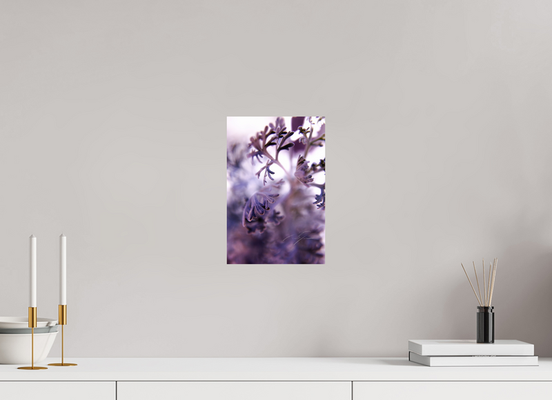 8 x 12″, PHOTO PRINT - FUJIFLEX HIGH GLOSS ALLURE
