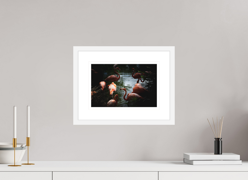 12 x 8″, FRAME - SOLID WOOD [FUJIFLEX] FLAMINGOS