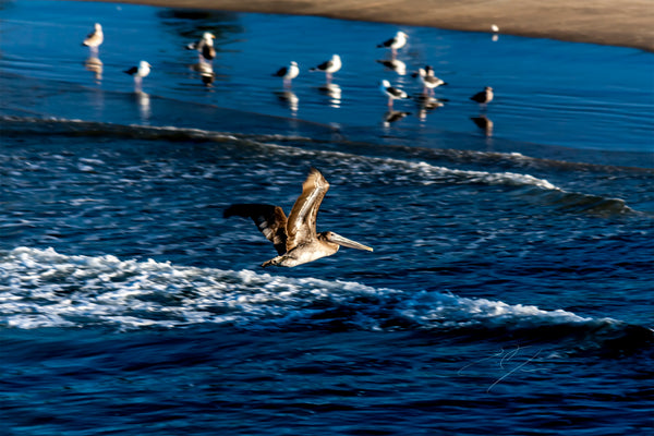 SOLO FLIGHT