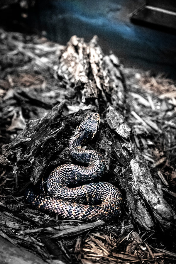 COILED