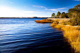 ST. JOHN'S RIVER