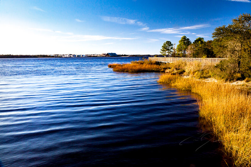 ST. JOHN'S RIVER