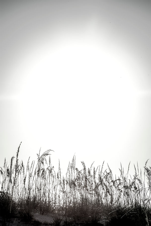 LIGHT'S TOUCH