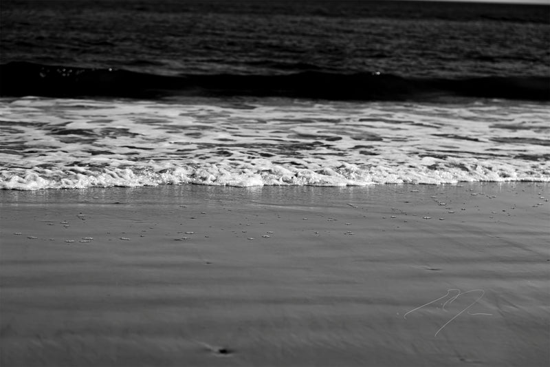 COASTAL WAVE