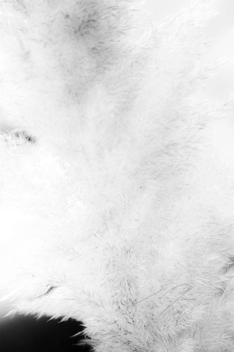 DREAM STATE, No.2
