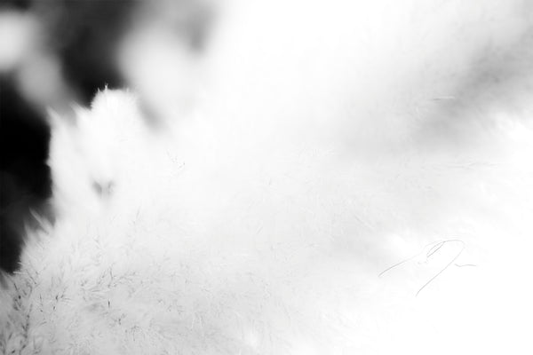 DREAM STATE, No.3