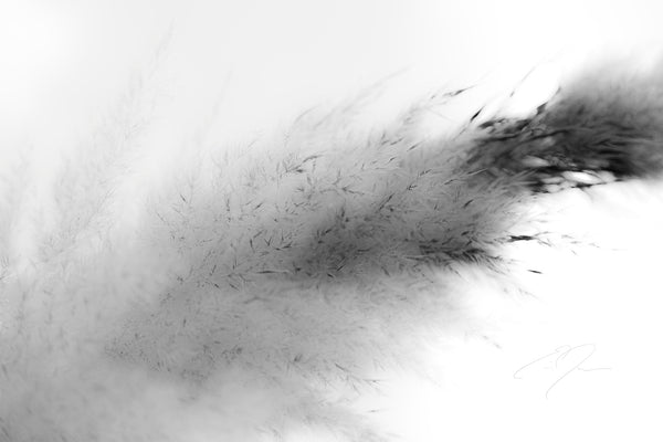 DREAM STATE, No.6