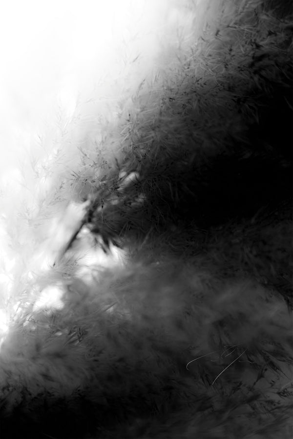 DREAM STATE, No.9