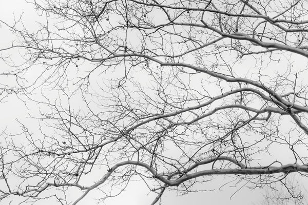 INTERTWINED