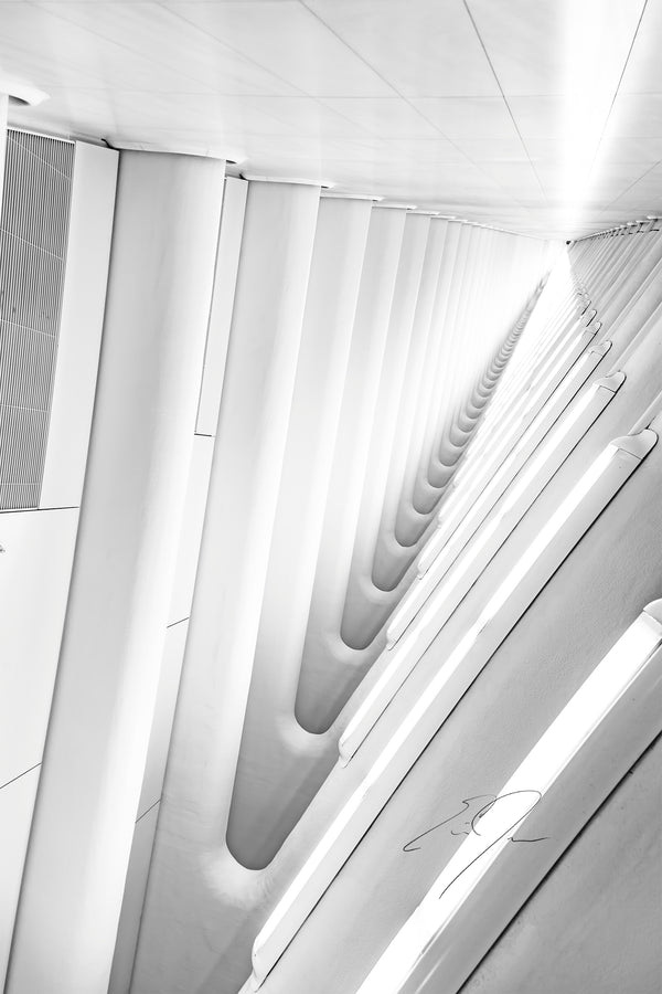 MADE OF LIGHT, No.6
