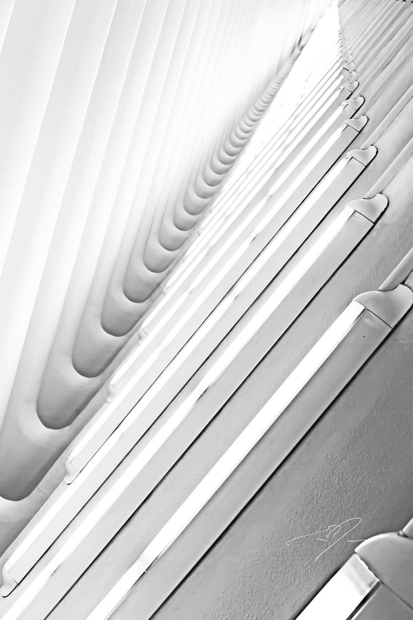 MADE OF LIGHT