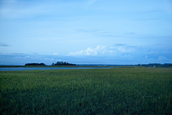 GREEN PASTURE