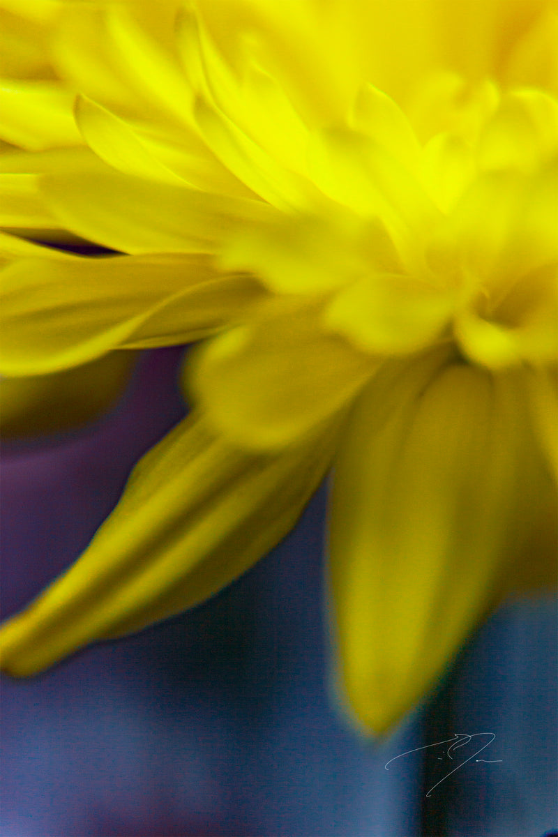 Main image EDGE OF FALLING