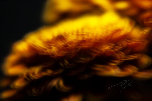 INCANDESCENCE