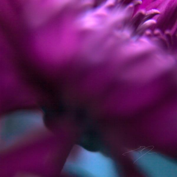 Main image UNDERNEATH