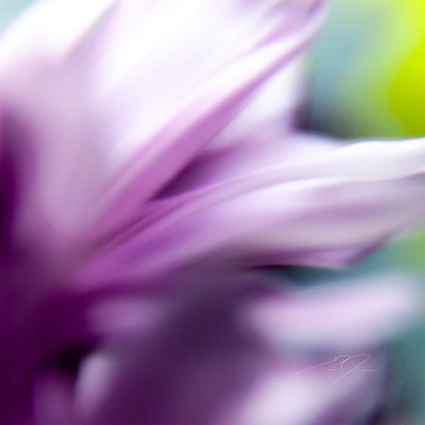 FLEETING