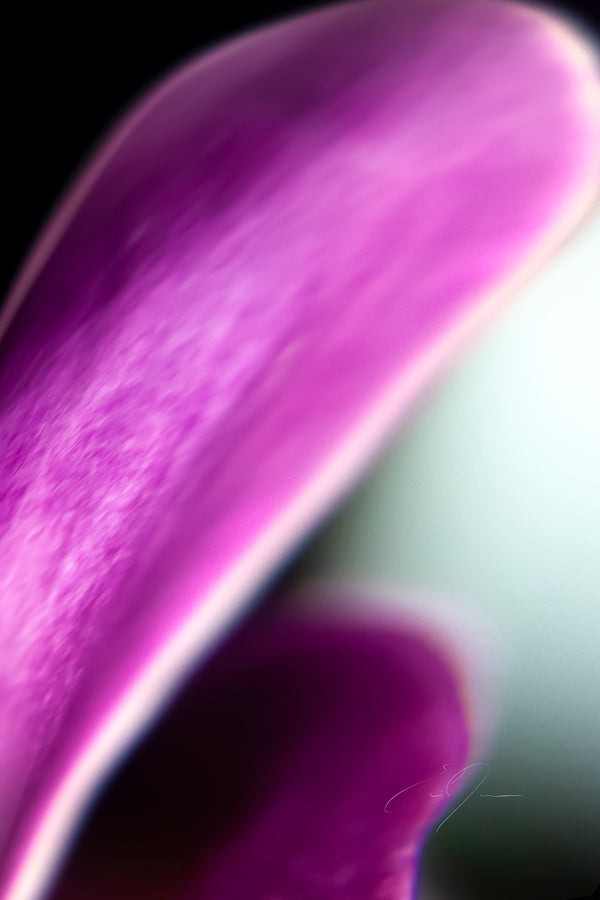 EPHEMERAL