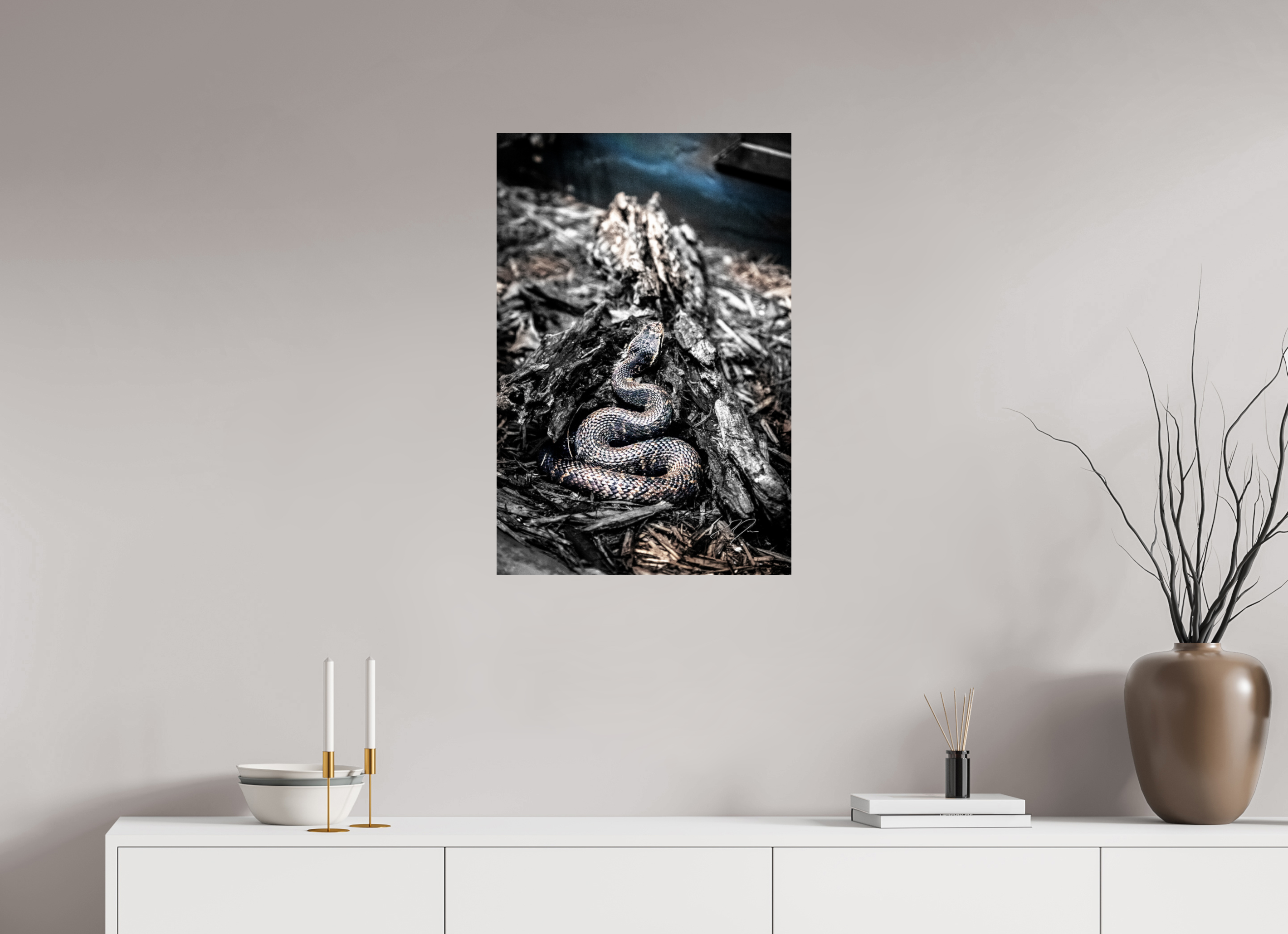 20 x 30″, PRINT ONLY [FUJI CRYSTAL DP II] COILED