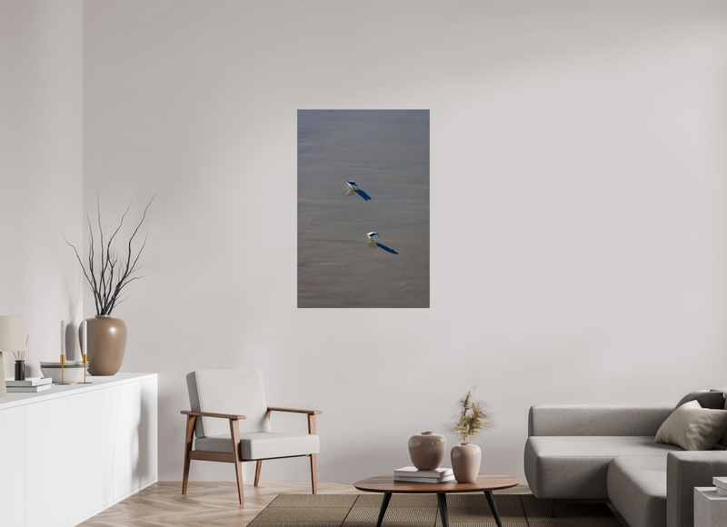30 x 45″, PHOTO PRINT - FUJIFLEX HIGH GLOSS TWO BIRDS