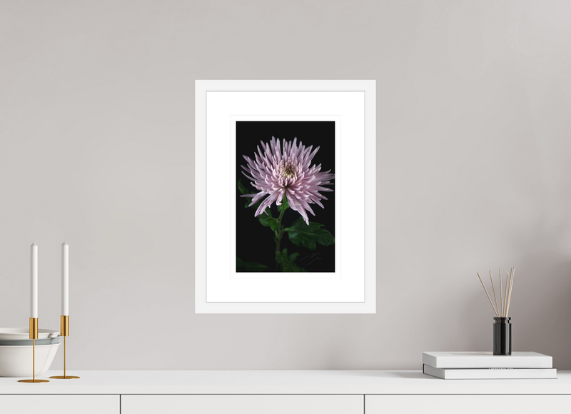 8 x 12″, FRAME - SOLID WOOD [FUJIFLEX] MUM, No.3