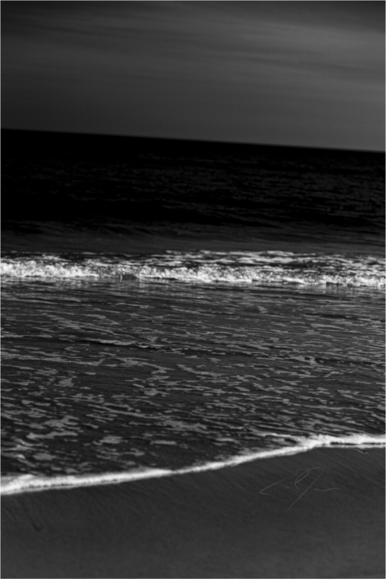 Main image COASTAL OBSCURITY