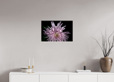 24 x 16″, PHOTO PRINT - FUJIFLEX HIGH GLOSS MUM