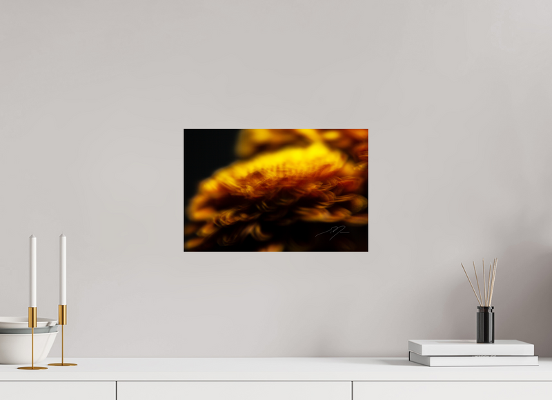 15 x 10″, PHOTO PRINT - FUJIFLEX HIGH GLOSS INCANDESCENCE