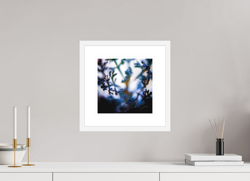 10 x 10″, FRAME - SOLID WOOD [FUJIFLEX] SENTIENCE