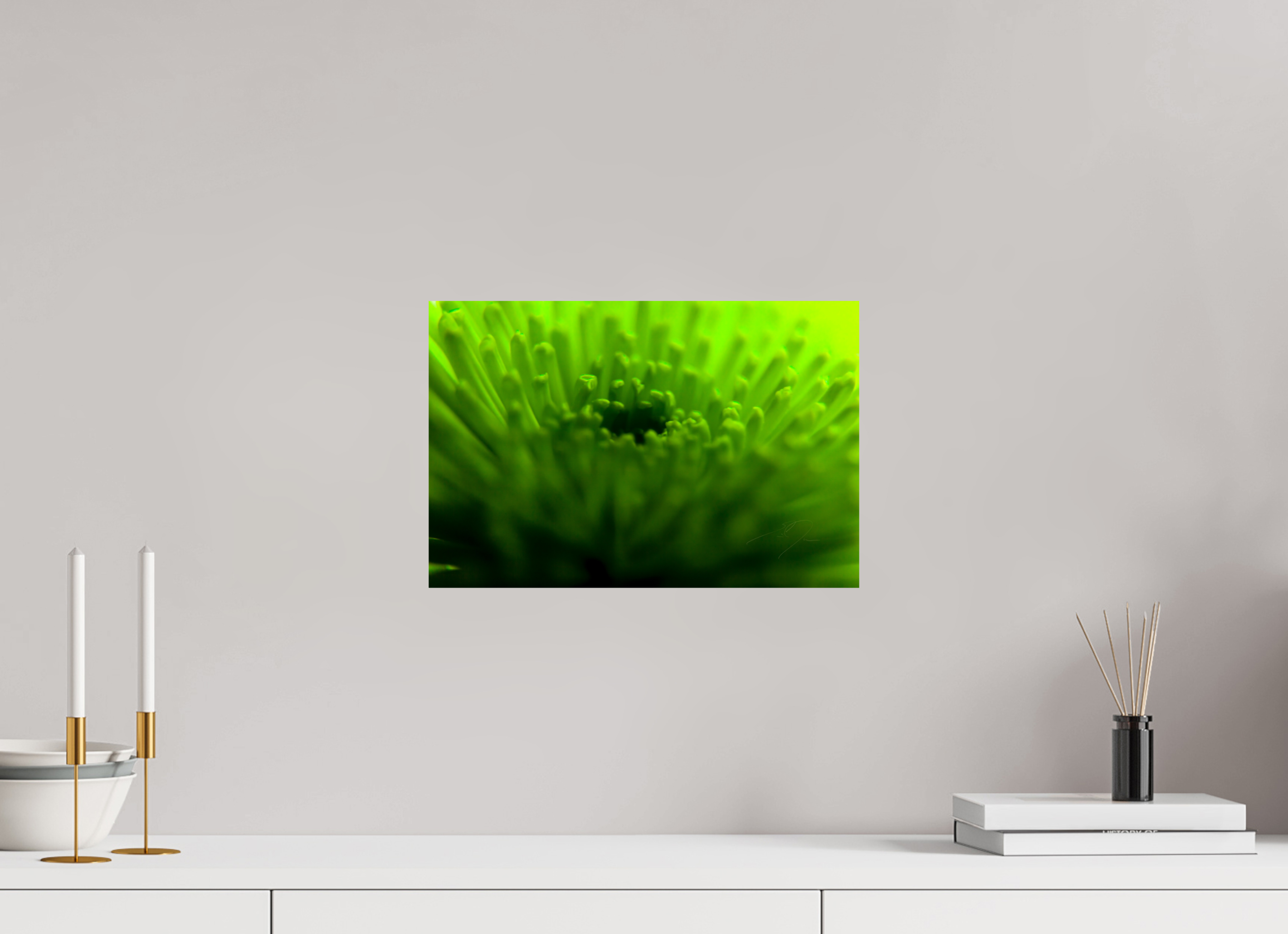 15 x 10″, PHOTO PRINT - FUJIFLEX HIGH GLOSS COME TO LIFE