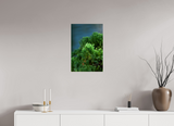 16 x 24″, PHOTO PRINT - FUJIFLEX HIGH GLOSS VERDANT