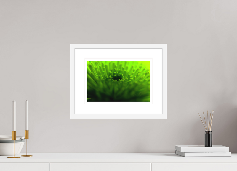 12 x 8″, FRAME - SOLID WOOD [FUJIFLEX] COME TO LIFE