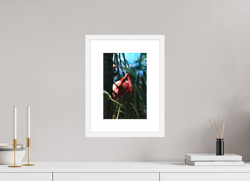8 x 12″, FRAME - SOLID WOOD [FUJIFLEX] IN THE SHADE