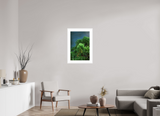 20 x 30″, FRAME - SOLID WOOD [FUJIFLEX] VERDANT