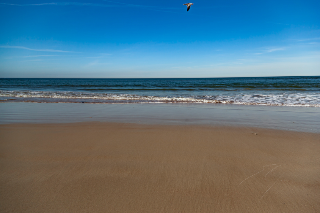 Main image COASTAL FLIGHT