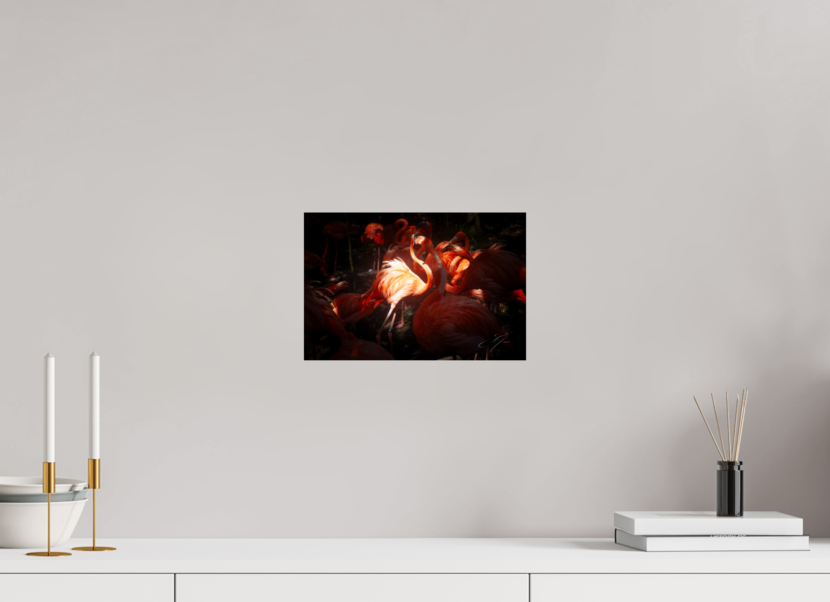 12 x 8″, PHOTO PRINT - FUJIFLEX HIGH GLOSS CENTER OF ATTENTION