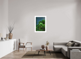 24 x 36″, FRAME - SOLID WOOD [FUJIFLEX] VERDANT
