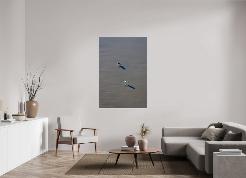 40 x 60″, PHOTO PRINT - FUJIFLEX HIGH GLOSS TWO BIRDS